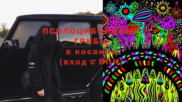 бошки Зеленокумск