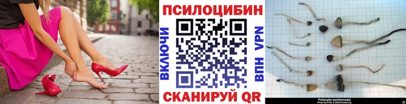 Купить где  Монино  Галлюциногенные грибы мухоморы 